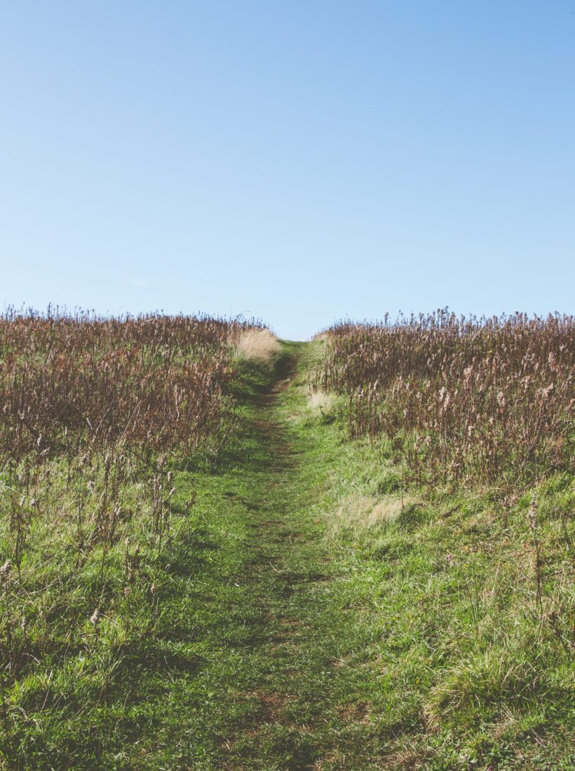 A narrow pathway in the middle of a grassy field under the beautiful sky